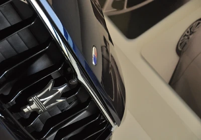 Maserati Levante - foto 8